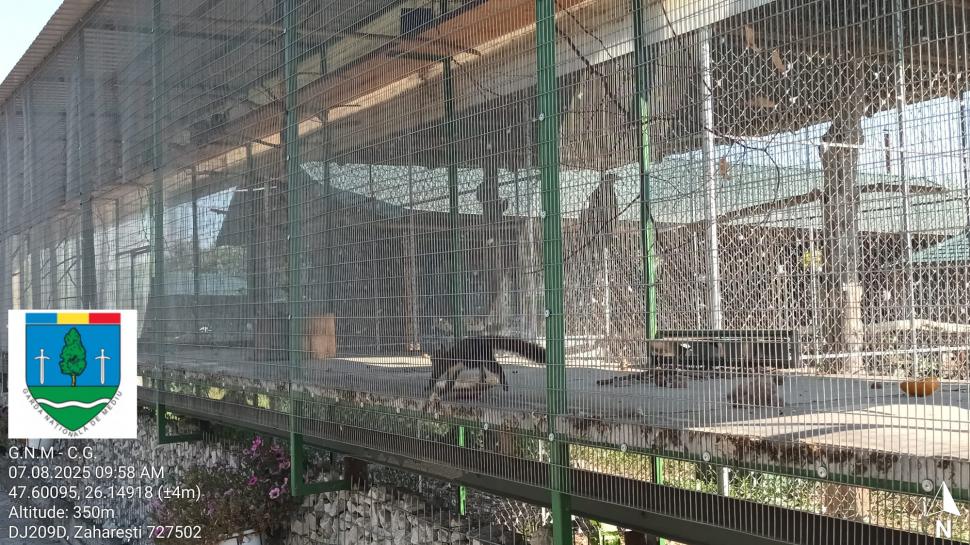 „Ligrul” de la Suceava nu mai poate fi vizitat. Grădina Zoologică din Zaharești a fost închisă și amendată 988938