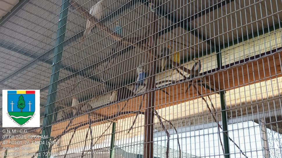 „Ligrul” de la Suceava nu mai poate fi vizitat. Grădina Zoologică din Zaharești a fost închisă și amendată 988942