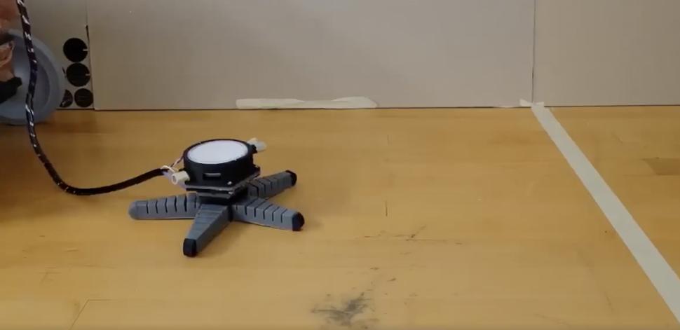 O ciupercă a învățat să se târască după ce a primit un corp de robot. „Trompeta regală” pare că dansează pe noile picioare 988495