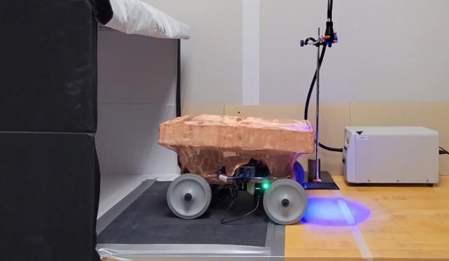 O ciupercă a învățat să se târască după ce a primit un corp de robot. „Trompeta regală” pare că dansează pe noile picioare 988497