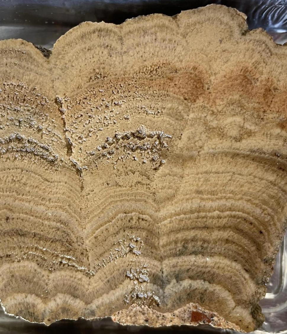 Cercetătorii au elucidat misterul apeductului roman vechi de 2.000 de ani: Băile lui Constantin din Arles au contribuit la descoperire 988198