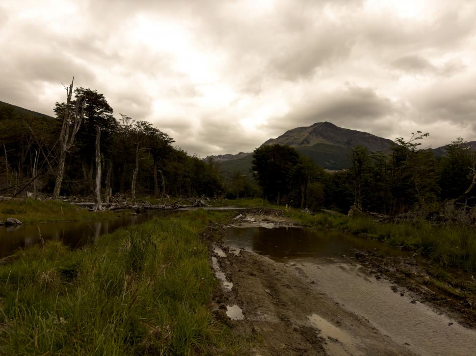 14.000 de kilometri spre sine. Povestea lui Denis, fotograful care a plecat cu bicicleta în lume după ce și-a pierdut mama și iubita 988754