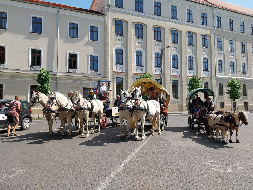 Caravana care transportă „Clopotul Păcii” de la Berlin la Ierusalim traversează România: 20 de cai și ponei trag cele 6 trăsuri 989533