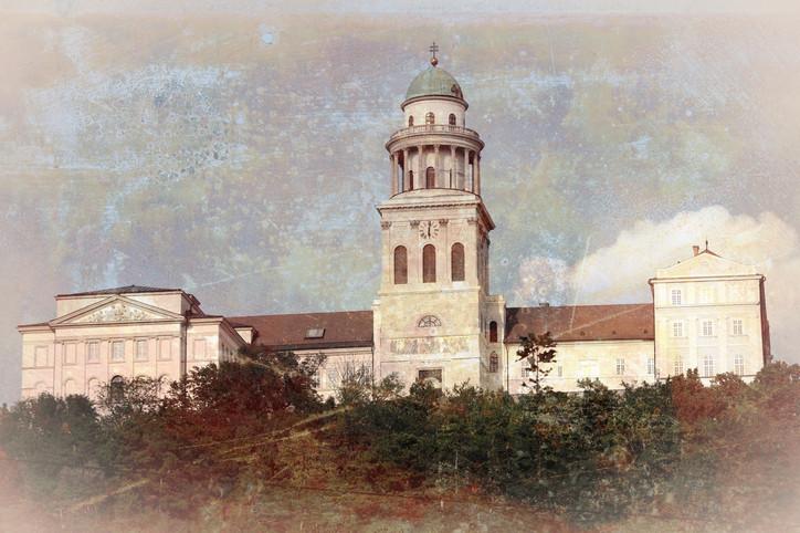 Cea mai veche bibliotecă din Ungaria se luptă să salveze 100.000 de cărți infestate cu gândaci. Secole de istorie riscă să se șteargă 989430