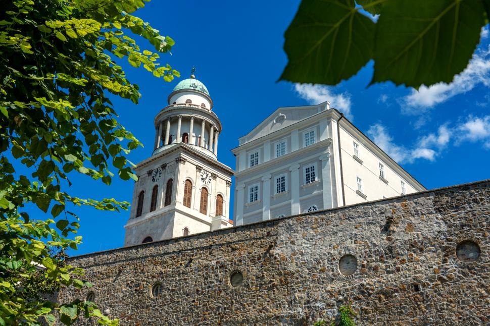 Cea mai veche bibliotecă din Ungaria se luptă să salveze 100.000 de cărți infestate cu gândaci. Secole de istorie riscă să se șteargă 989433
