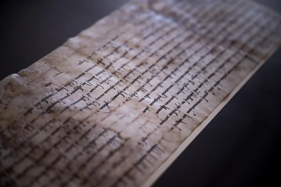 Cea mai veche bibliotecă din Ungaria se luptă să salveze 100.000 de cărți infestate cu gândaci. Secole de istorie riscă să se șteargă 989437