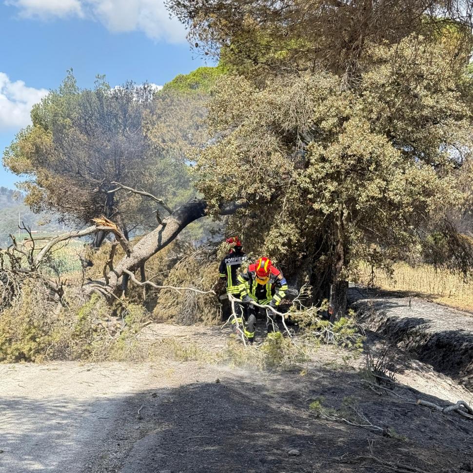 Macron le mulțumește, în limba română, pompierilor din țara noastră: „Asta înseamnă spiritul european” 989581