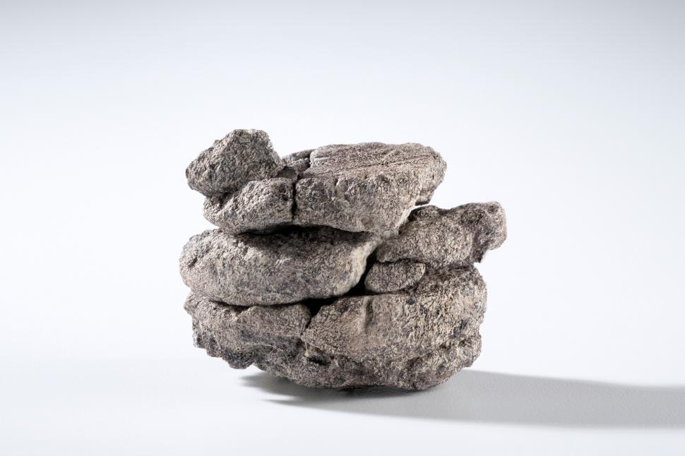 Un muzeu din SUA a descoperit o fosilă de dinozaur chiar sub propria parcare: Osul găsit din întâmplare are 70 de milioane de ani 989939