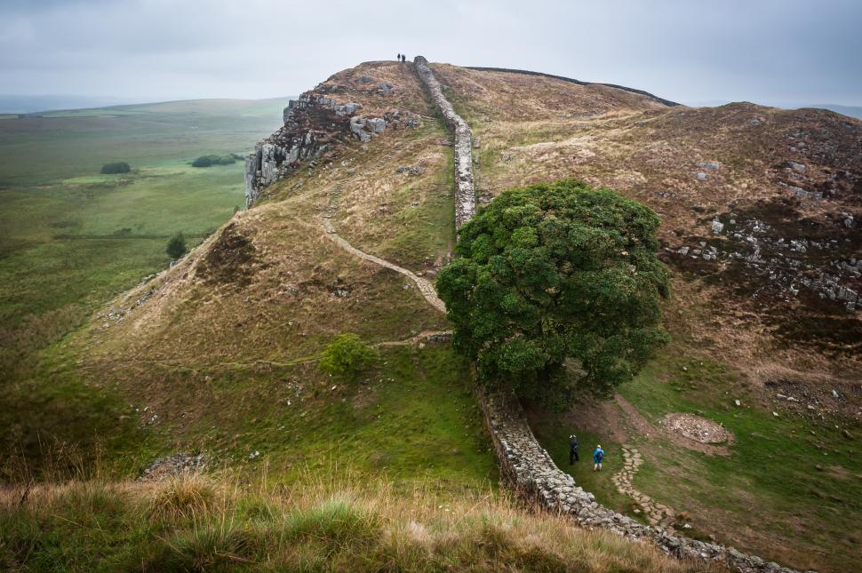 Cei doi bărbați care au tăiat copacul secular „de neînlocuit” de lângă Zidul lui Hadrian au fost condamnați la închisoare cu executare  990065