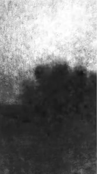 Cei doi bărbați care au tăiat copacul secular „de neînlocuit” de lângă Zidul lui Hadrian au fost condamnați la închisoare cu executare  990076