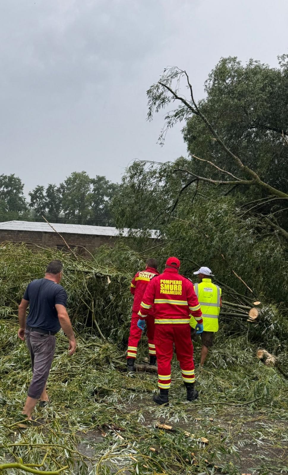 Furtuni puternice în România. Vijelii cu grindină uriașă în Suceava. Un copac a căzut peste o mașină aflată în mers, în Neamț 990184