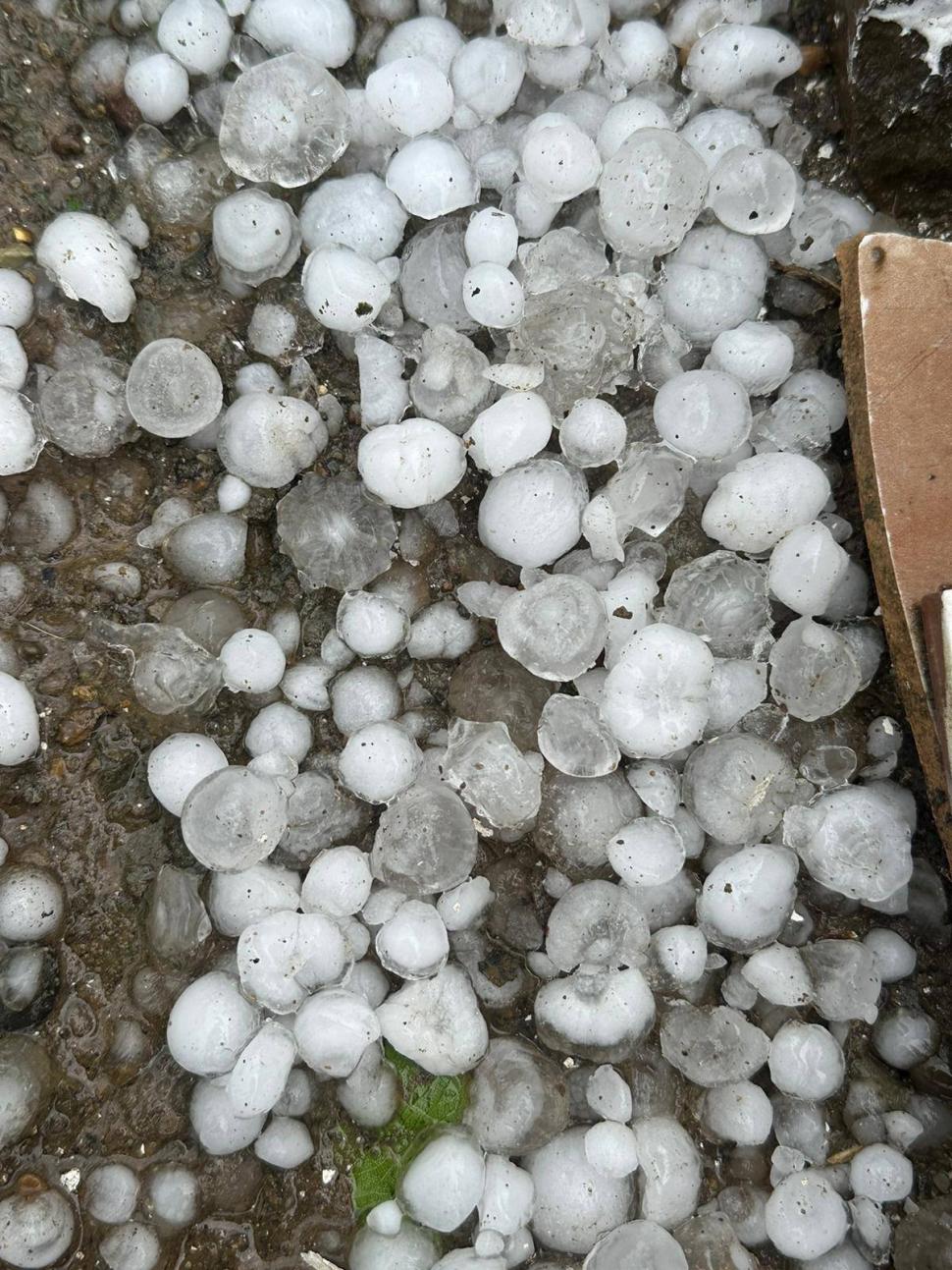 Furtuni puternice în România. Vijelii cu grindină uriașă în Suceava. Un copac a căzut peste o mașină aflată în mers, în Neamț 990186