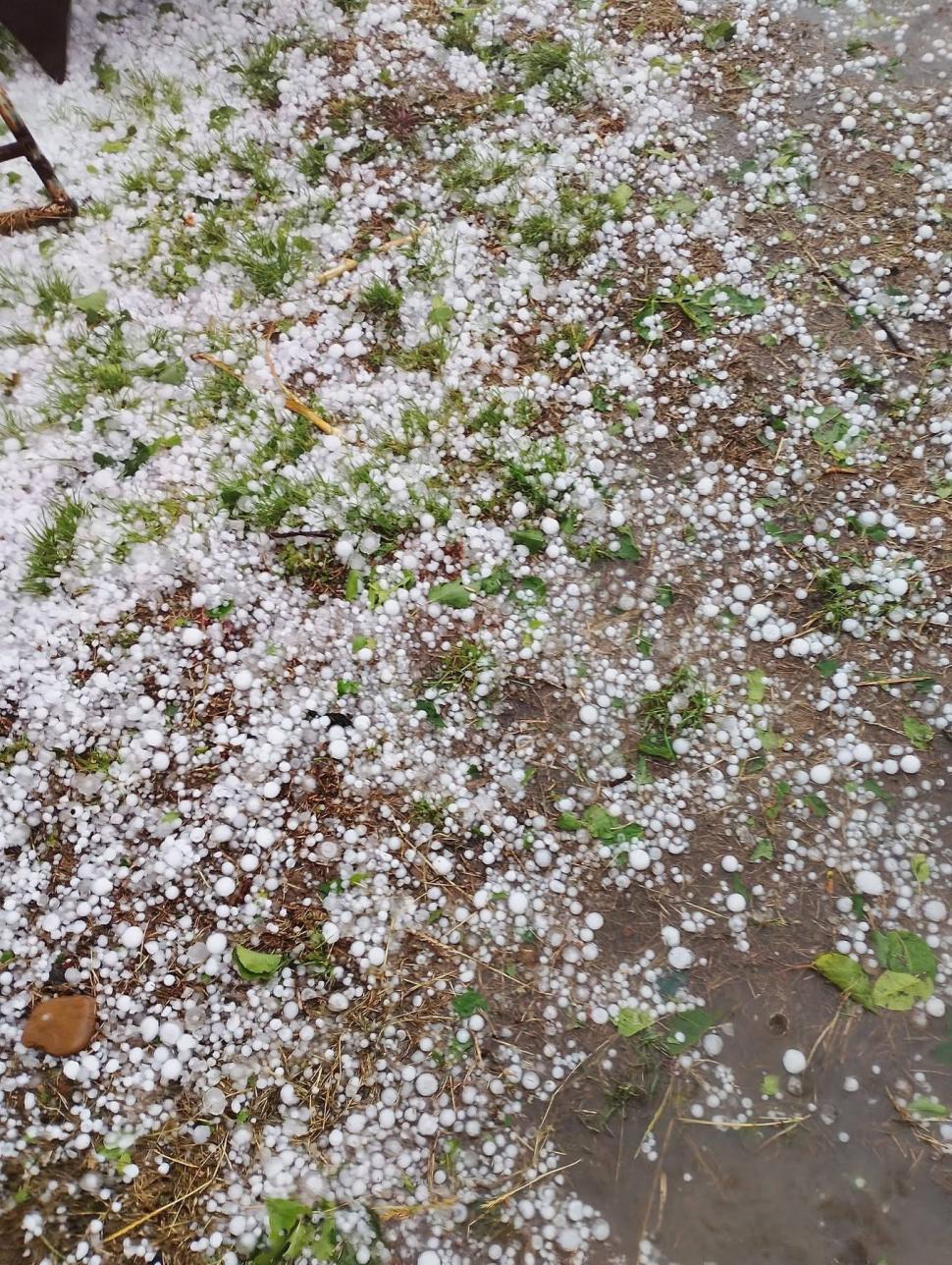 Furtuni puternice în România. Vijelii cu grindină uriașă în Suceava. Un copac a căzut peste o mașină aflată în mers, în Neamț 990187