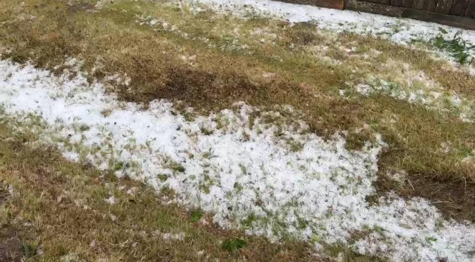 Furtuni puternice în România. Vijelii cu grindină uriașă în Suceava. Un copac a căzut peste o mașină aflată în mers, în Neamț 990188