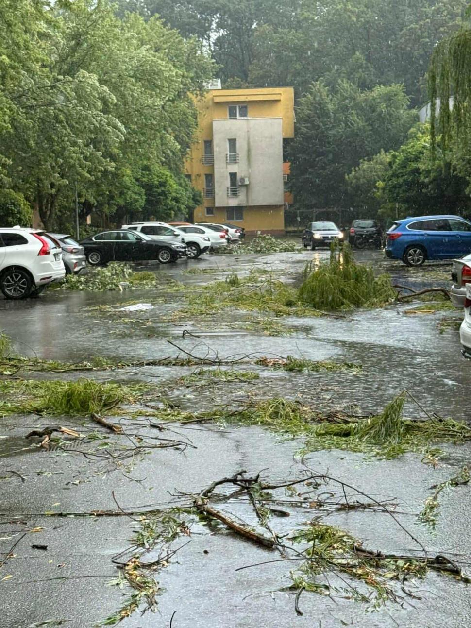 Furtună cu efect de uragan în București. O femeie din Otopeni a fost ucisă după ce bucăți din acoperișul vecin au zburat la ea în casă  990639