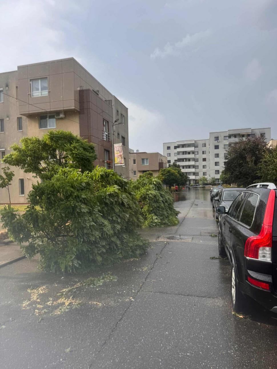 Imagini incredibile surprinse în timpul furtunii de joi, din București și Ilfov. Rafale cu puterea unui uragan au distrus totul în cale 990689