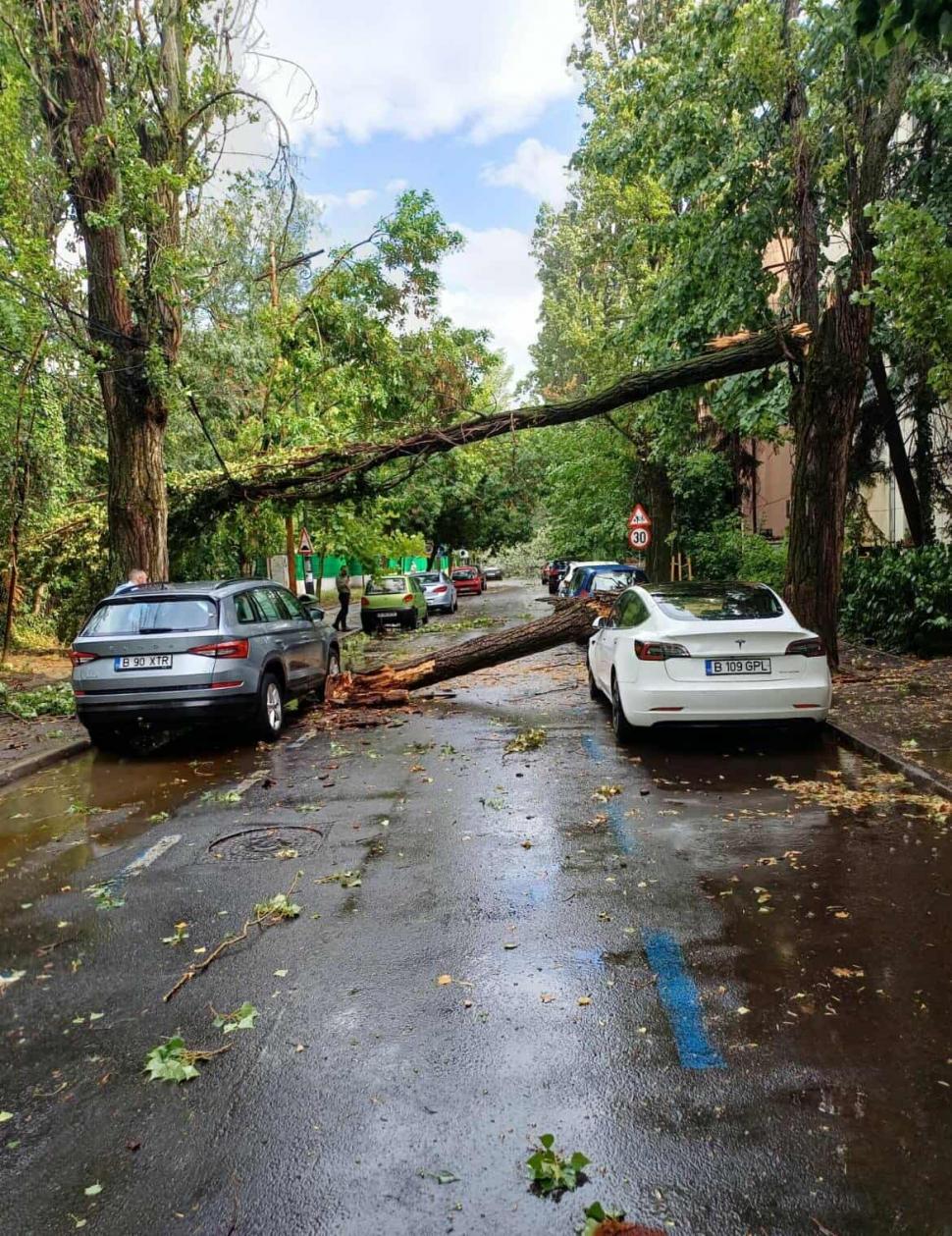 Imagini incredibile surprinse în timpul furtunii de joi, din București și Ilfov. Rafale cu puterea unui uragan au distrus totul în cale 990691