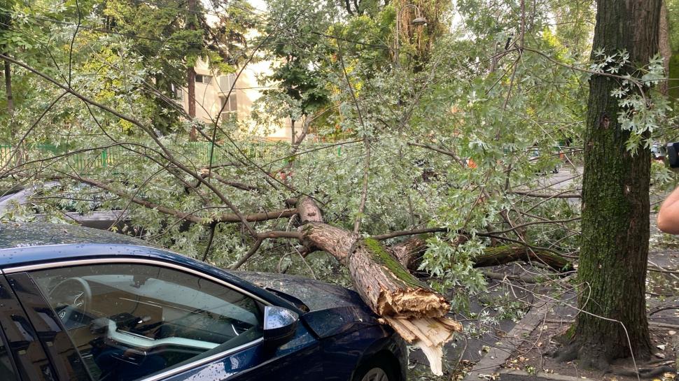 Imagini incredibile surprinse în timpul furtunii de joi, din București și Ilfov. Rafale cu puterea unui uragan au distrus totul în cale 990696