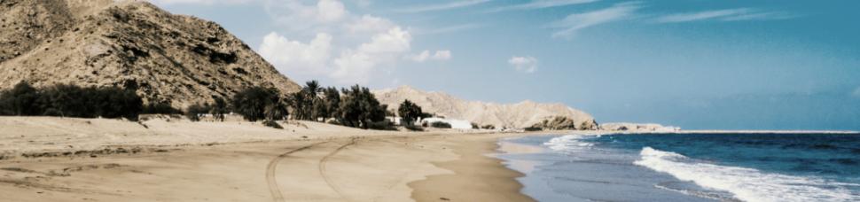 Cum va arăta "Aida" lui Trump din Oman. Hotel de lux cu 140 de camere, vile de milioane de dolari și teren de golf 991039