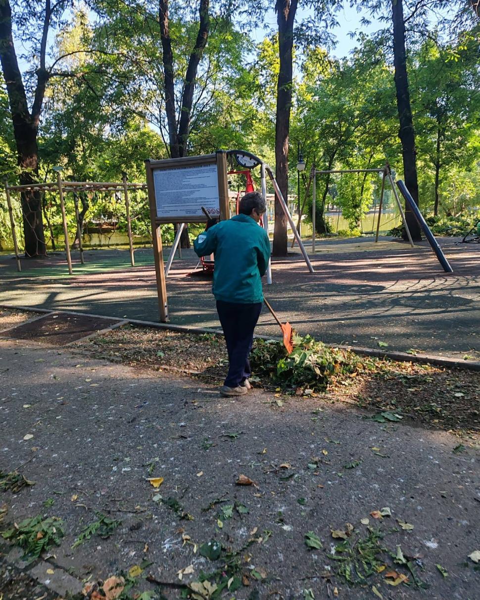 Frasinul secular din Cișmigiu a fost rupt de vijelia din București. Se fac eforturi pentru salvarea glicinei: „A fost grav afectată” 990769