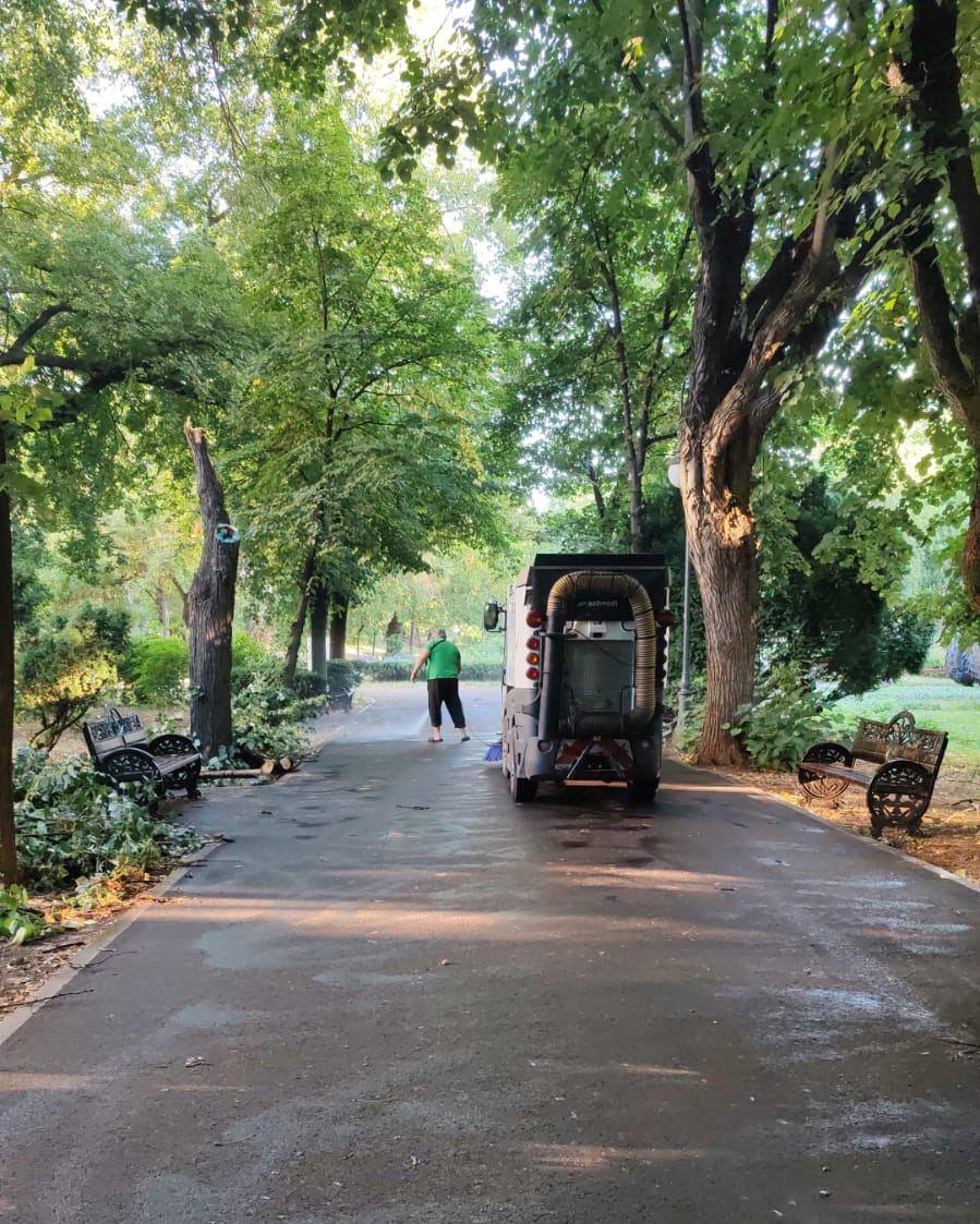 Frasinul secular din Cișmigiu a fost rupt de vijelia din București. Se fac eforturi pentru salvarea glicinei: „A fost grav afectată” 990770