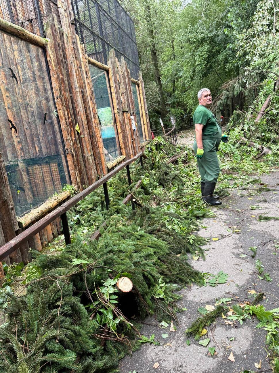 Grădina Zoologică Bucureşti se închide temporar, după furtuna de joi: „A suferit mai multe pagube”. Când va fi redeschisă 990950