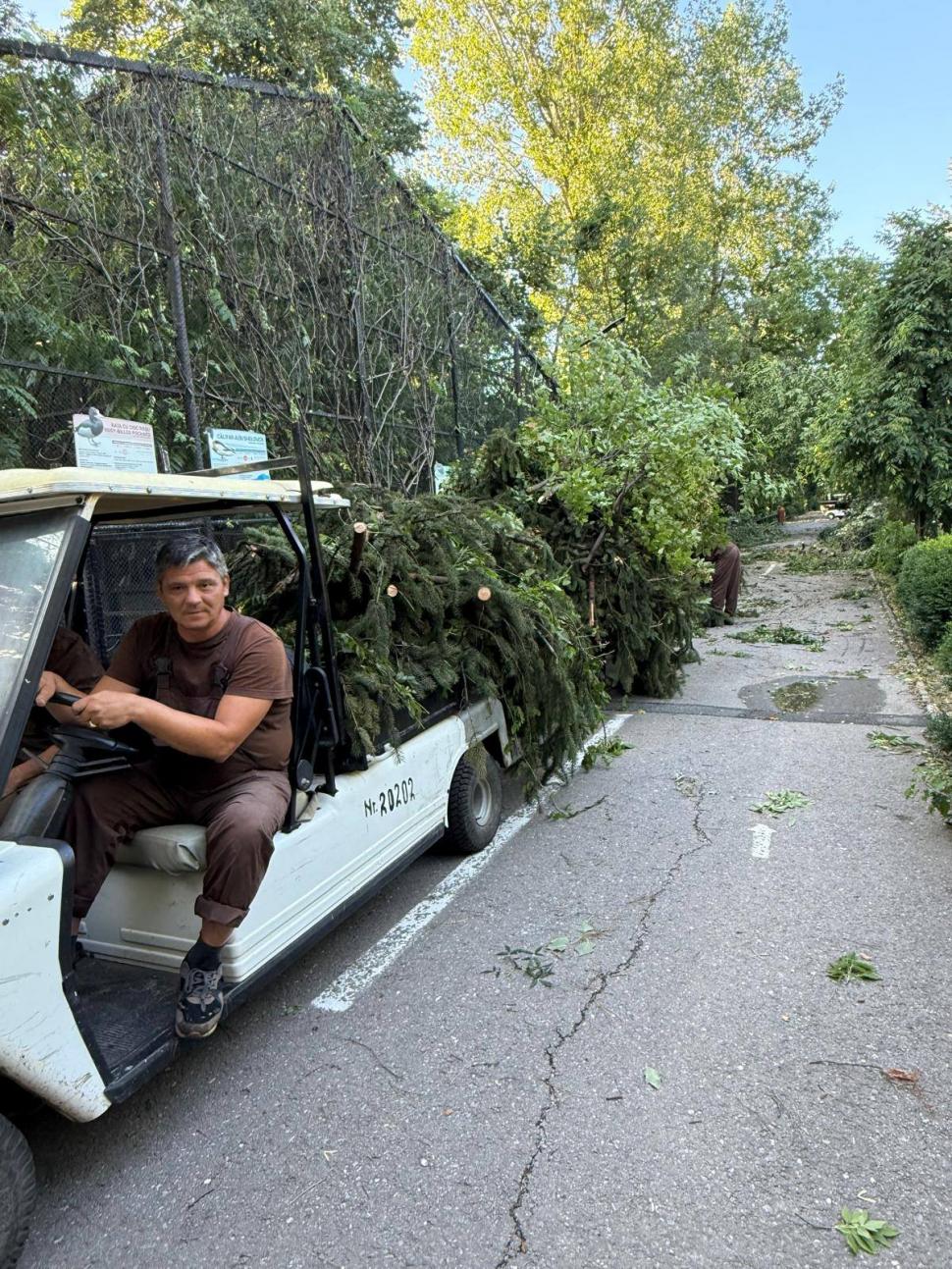 Grădina Zoologică Bucureşti se închide temporar, după furtuna de joi: „A suferit mai multe pagube”. Când va fi redeschisă 990951