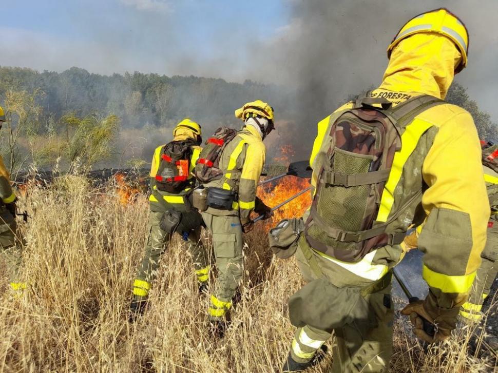 Incendii uriașe în Spania. Flăcările s-au răspândit spre zone rezidențiale. Nori groși de fum deasupra Madridului 990998