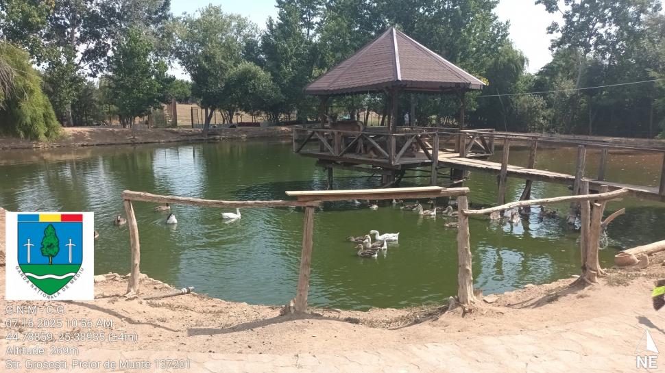 Un bărbat din Dâmbovița și-a făcut zoo ilegal în curte, cu pui de tigru, urși și maimuțe. Garda de Mediu s-a dus peste el 990851