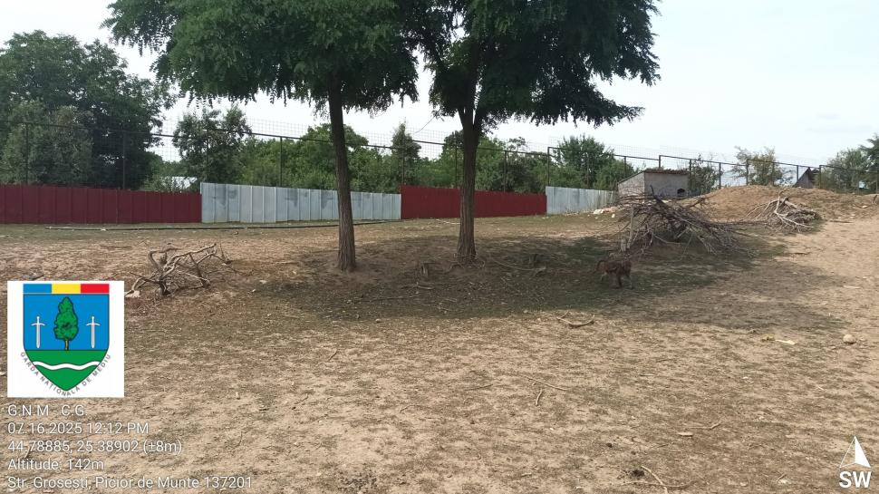 Un bărbat din Dâmbovița și-a făcut zoo ilegal în curte, cu pui de tigru, urși și maimuțe. Garda de Mediu s-a dus peste el 990853