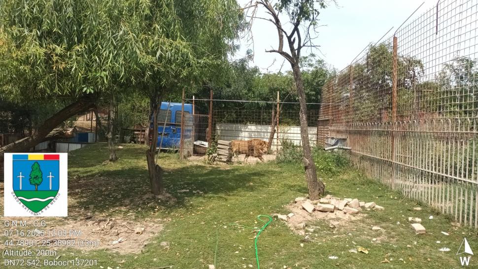 Un bărbat din Dâmbovița și-a făcut zoo ilegal în curte, cu pui de tigru, urși și maimuțe. Garda de Mediu s-a dus peste el 990856