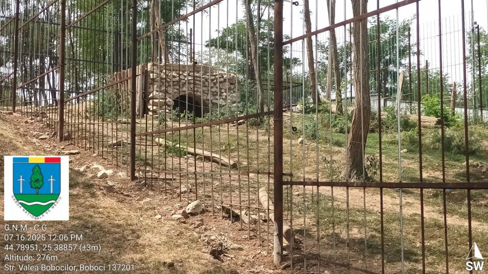 Un bărbat din Dâmbovița și-a făcut zoo ilegal în curte, cu pui de tigru, urși și maimuțe. Garda de Mediu s-a dus peste el 990861