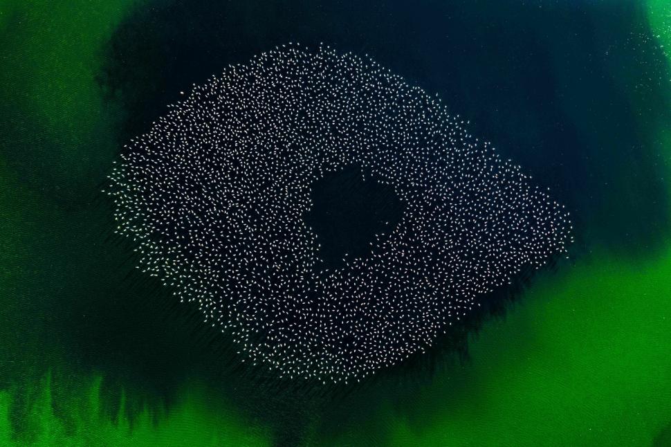 Tocmai a devenit unul din cele mai populare locuri din Turcia. Ce se vede, de fapt, în această imagine 990876