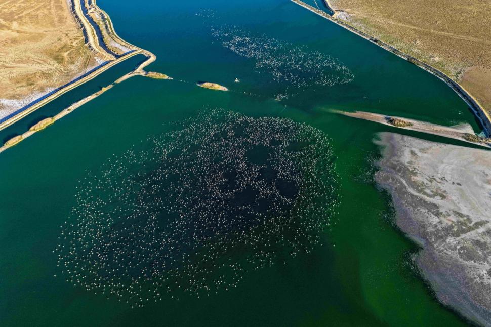 Tocmai a devenit unul din cele mai populare locuri din Turcia. Ce se vede, de fapt, în această imagine 990877