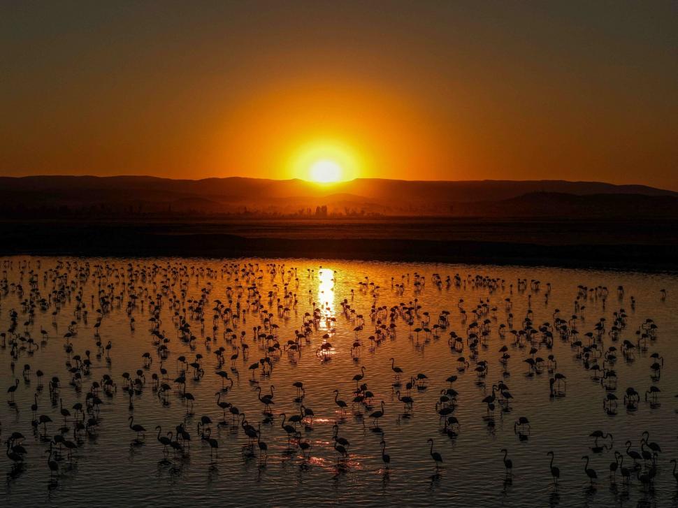 Tocmai a devenit unul din cele mai populare locuri din Turcia. Ce se vede, de fapt, în această imagine 990878