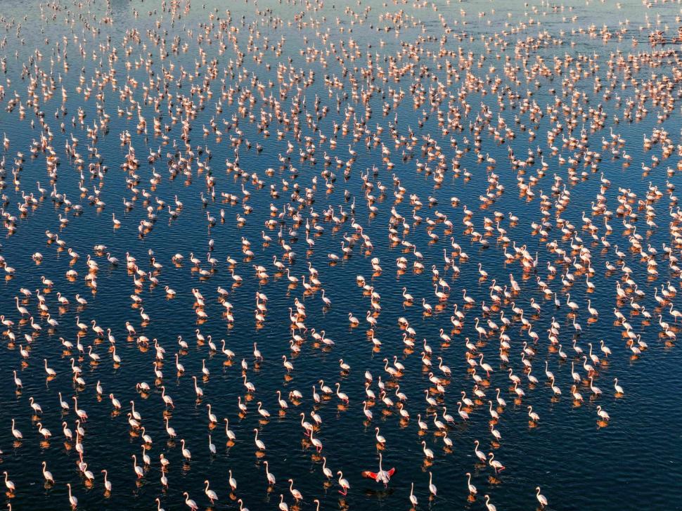 Tocmai a devenit unul din cele mai populare locuri din Turcia. Ce se vede, de fapt, în această imagine 990879