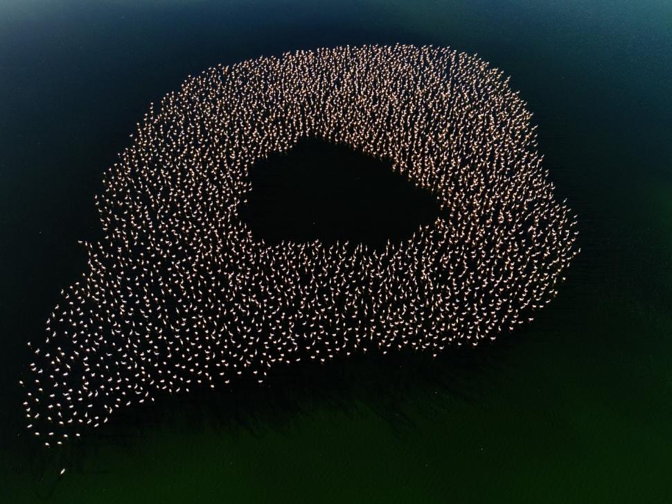 Tocmai a devenit unul din cele mai populare locuri din Turcia. Ce se vede, de fapt, în această imagine 990880