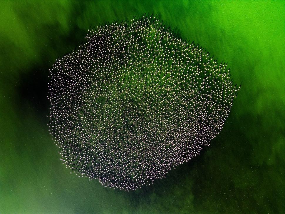 Tocmai a devenit unul din cele mai populare locuri din Turcia. Ce se vede, de fapt, în această imagine 990881