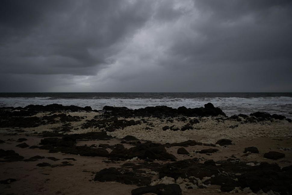 Dezastru ecologic: 14.000 de animale din 400 de specii au fost ucise de alge toxice care se extind cu o viteză amețitoare 991767