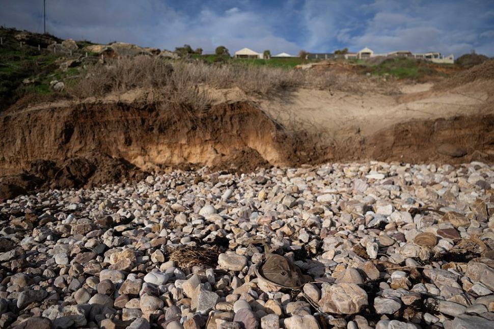 Dezastru ecologic: 14.000 de animale din 400 de specii au fost ucise de alge toxice care se extind cu o viteză amețitoare 991786