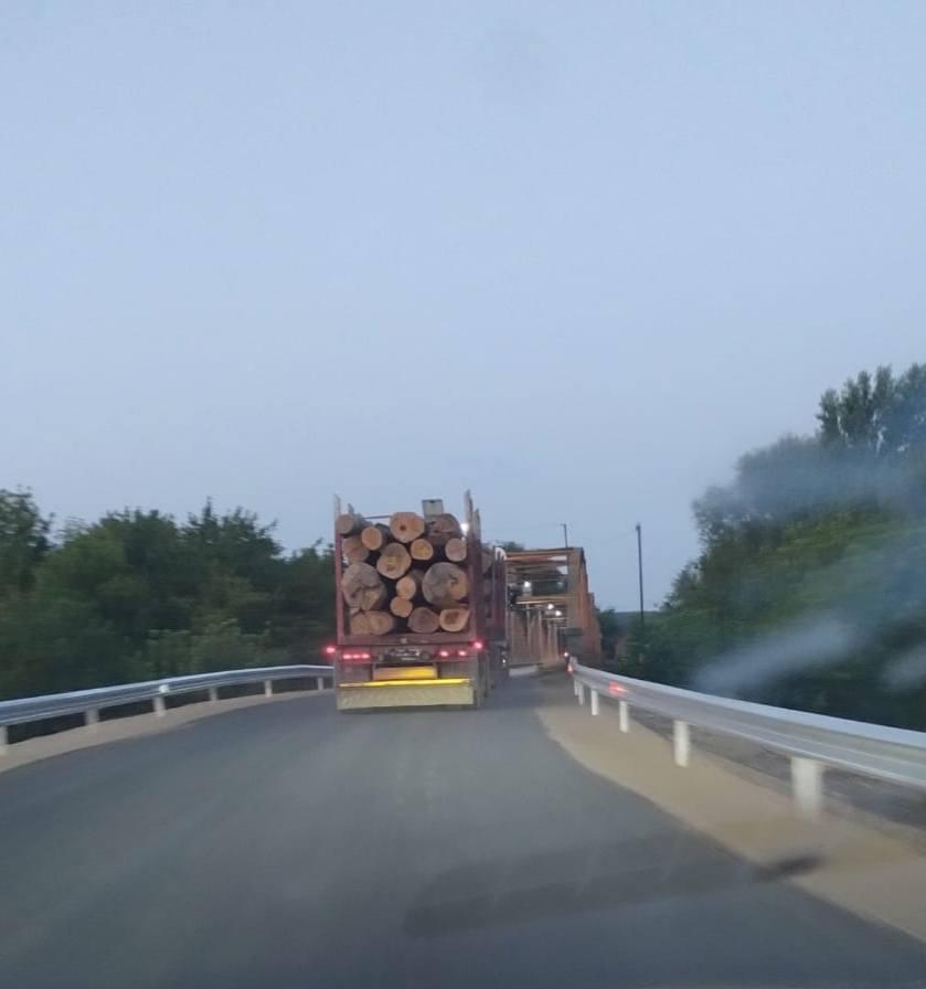 Un pod istoric stă să cadă. Pilonii și structura metalică s-au degradat, camioanele trec în continuare pe acolo 992077