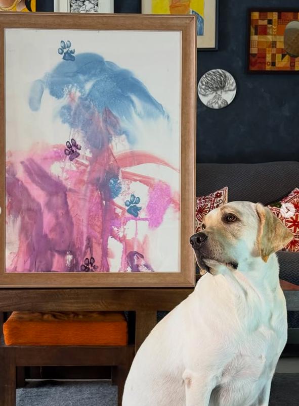 Dali a ajuns celebră în toată lumea. A fost salvată de pe străzi când era pui, iar acum pictează pentru a ajuta alți câini  992348