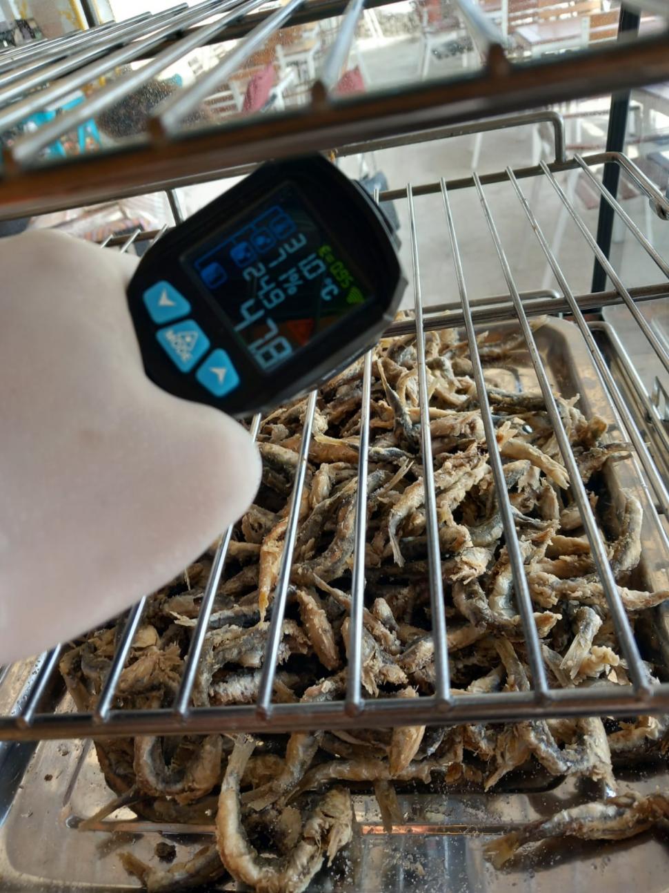 Dezastru pe litoral în plin sezon: ANPC a găsit produse expirate, toalete și saltele murdare. Ce alte nereguli au fost descoperite 993426