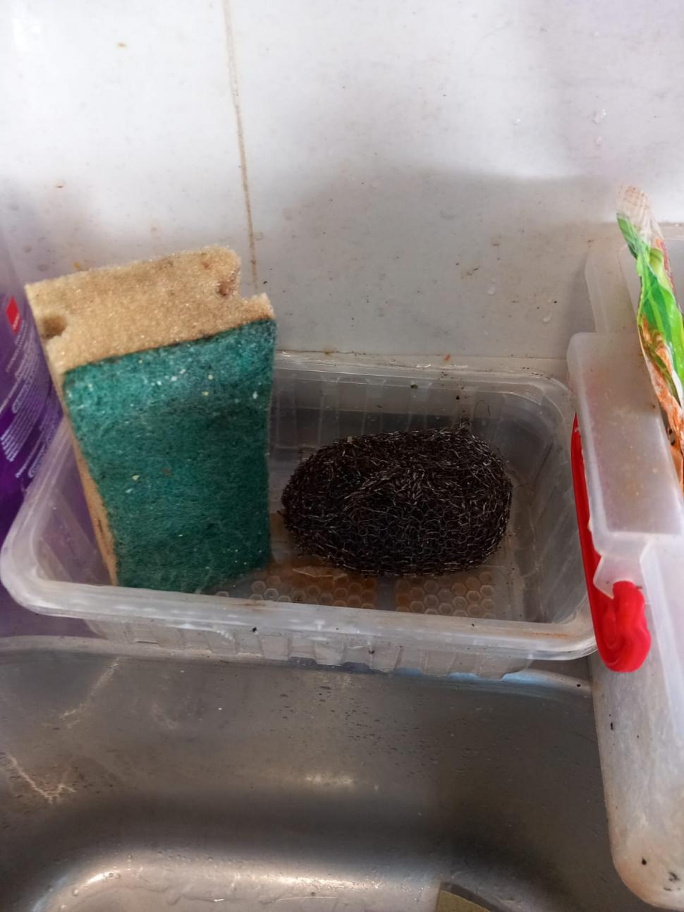 Dezastru pe litoral în plin sezon: ANPC a găsit produse expirate, toalete și saltele murdare. Ce alte nereguli au fost descoperite 993428