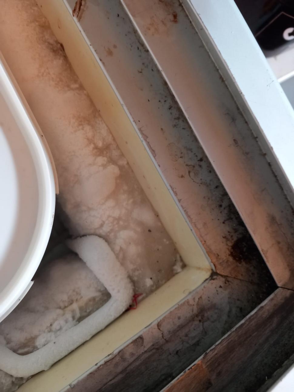 Dezastru pe litoral în plin sezon: ANPC a găsit produse expirate, toalete și saltele murdare. Ce alte nereguli au fost descoperite 993431