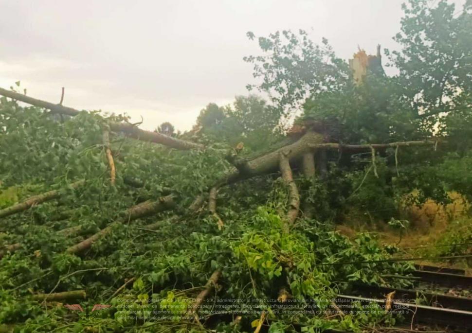 Furtunile au afectat circulația trenurilor. Întârzieri de sute de minute și probleme în mai multe zone din țară 993539