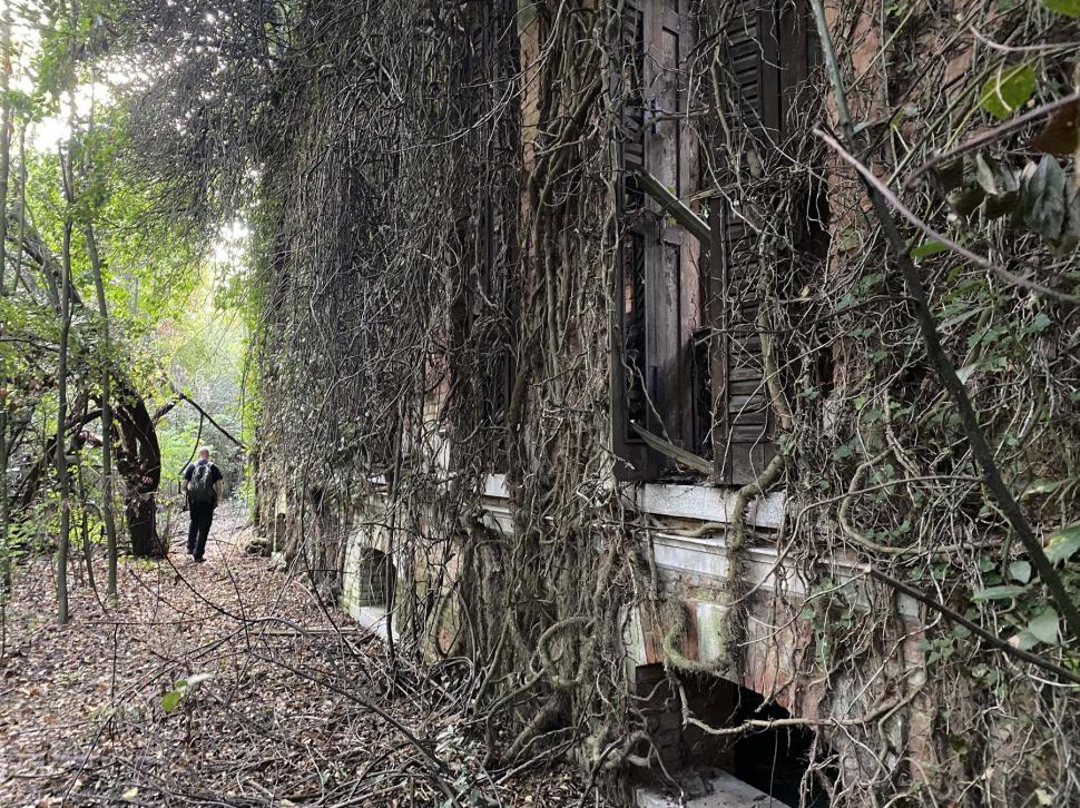 Insula "bântuită" a Veneției va deveni un parc urban destinat exclusiv localnicilor. Cum arată acum locul părăsit de peste 50 de ani 993368