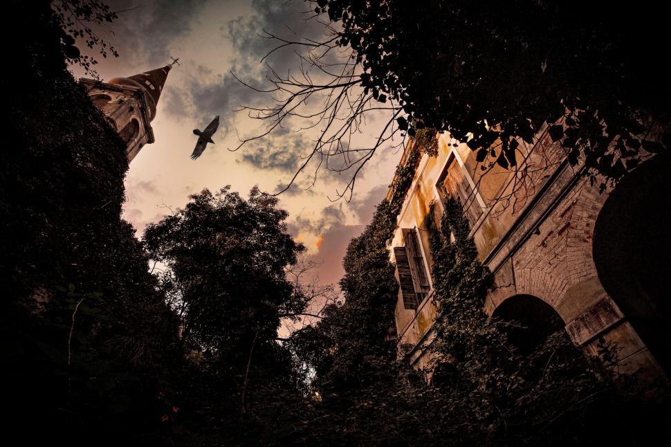 Insula "bântuită" a Veneției va deveni un parc urban destinat exclusiv localnicilor. Cum arată acum locul părăsit de peste 50 de ani 993369