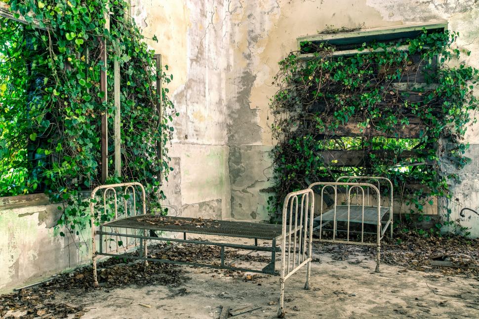 Insula "bântuită" a Veneției va deveni un parc urban destinat exclusiv localnicilor. Cum arată acum locul părăsit de peste 50 de ani 993373