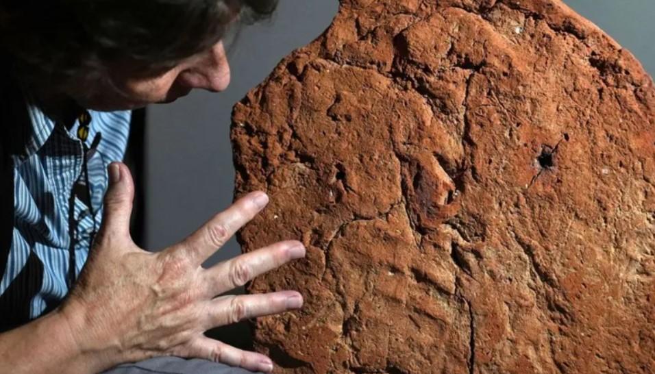 Amprenta unei palme din Egiptul Antic, găsită intactă după 4.000 de ani. Ale cui erau urmele 994059